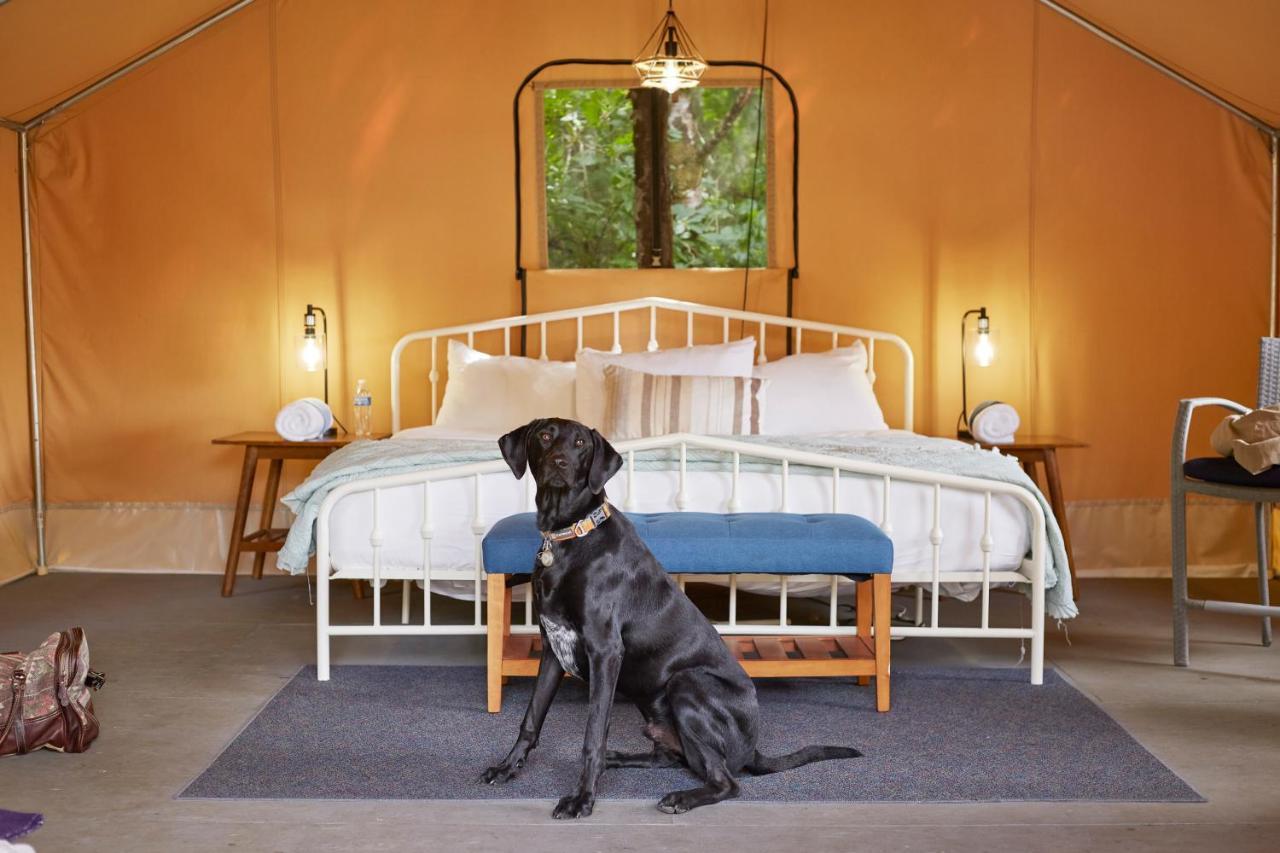 Pacific Dunes Resort Copalis Beach エクステリア 写真