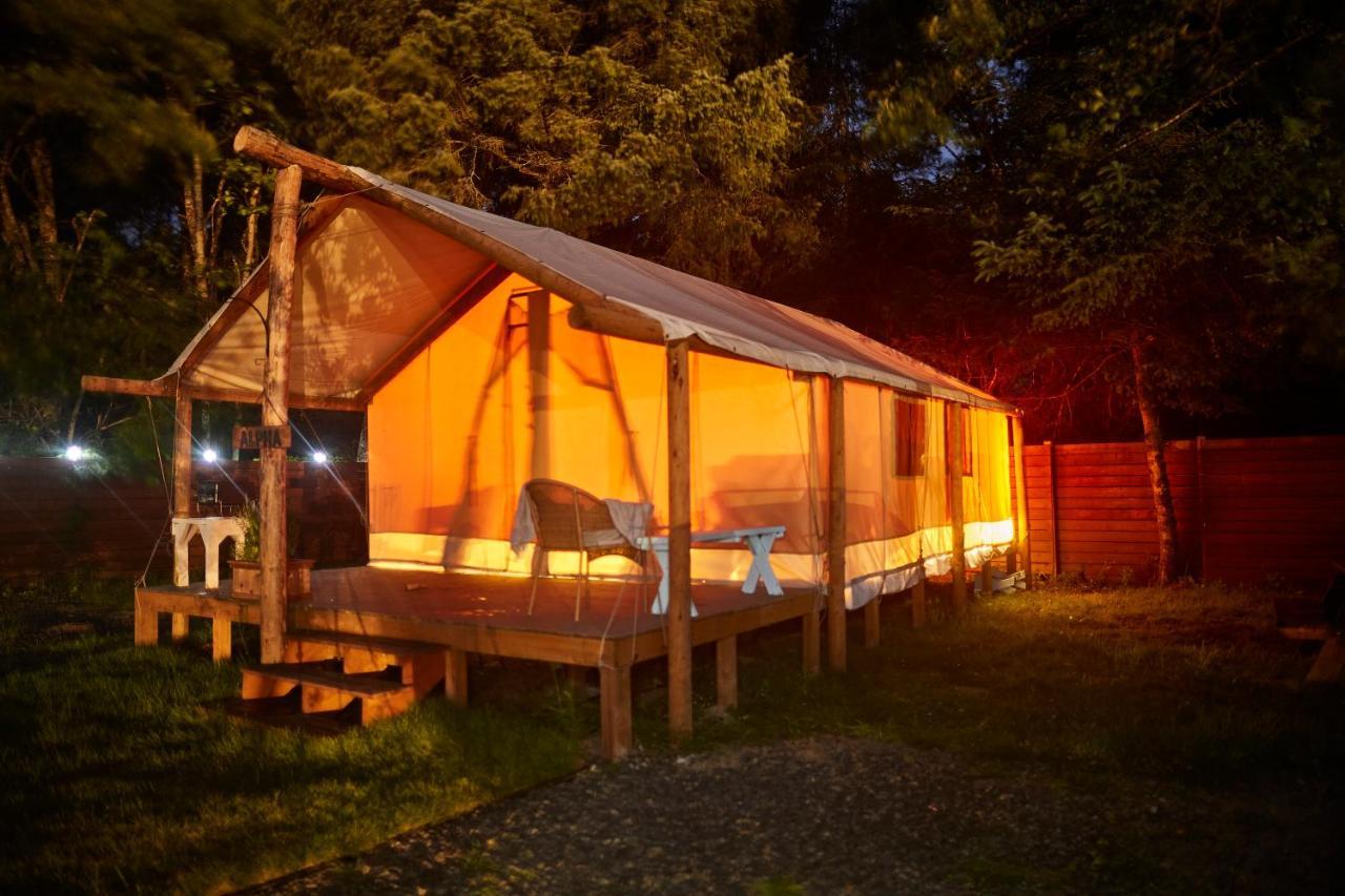 Pacific Dunes Resort Copalis Beach エクステリア 写真