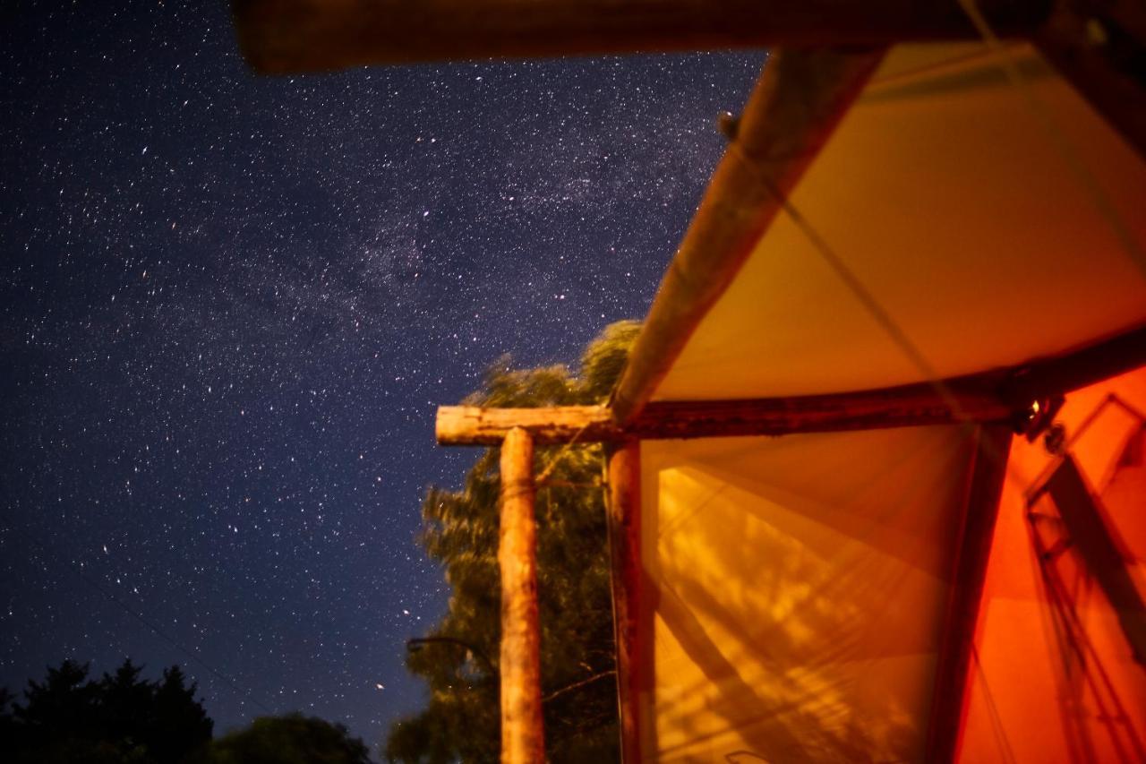 Pacific Dunes Resort Copalis Beach エクステリア 写真